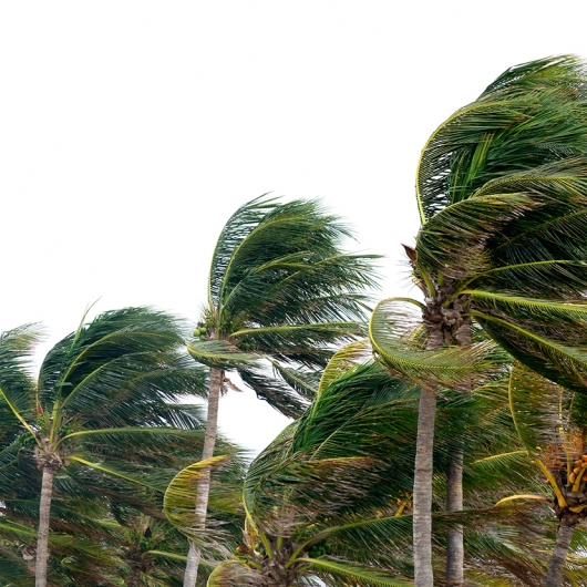 WFEC News WFEC Accepting RFPs for 2025 Storm Season 